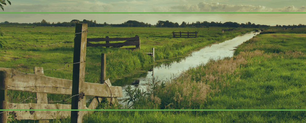 Holiday Homes in Jumbunna