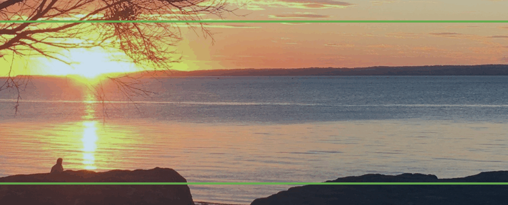 Holiday Homes in Sunset Strip