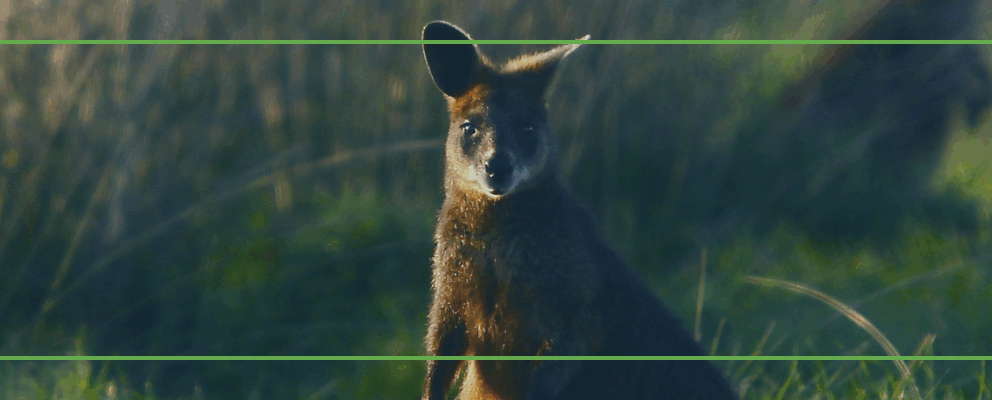 Holiday Homes in Ventnor