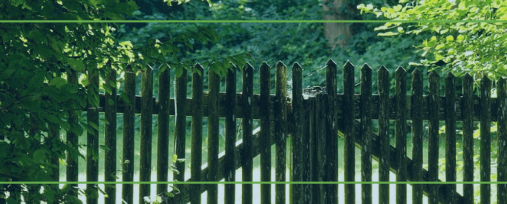 Holiday Homes with Enclosed Yard